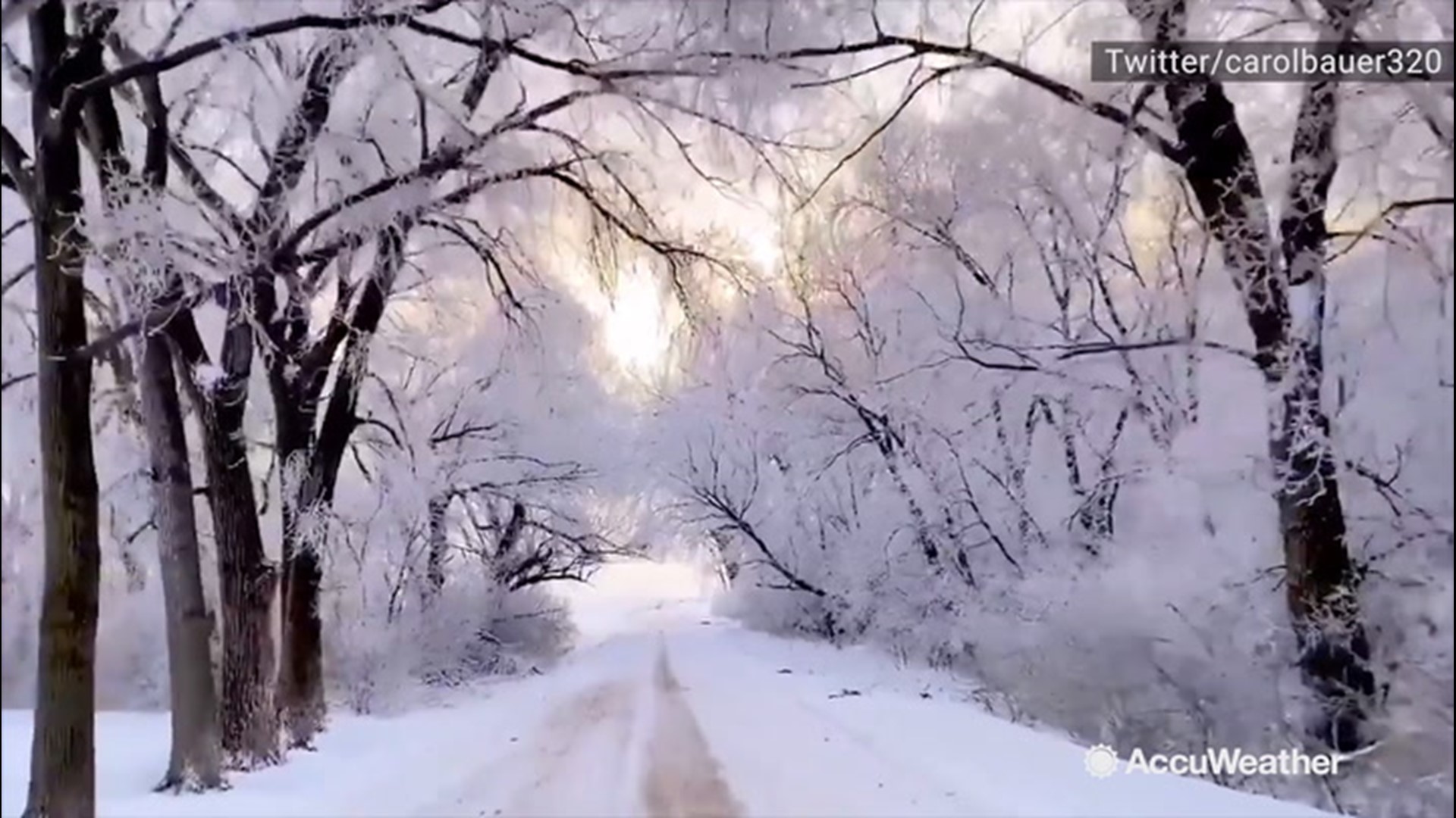 It was a winter wonderland in Graceville, Minnesota, after snow blanketed the area on Dec. 2.
