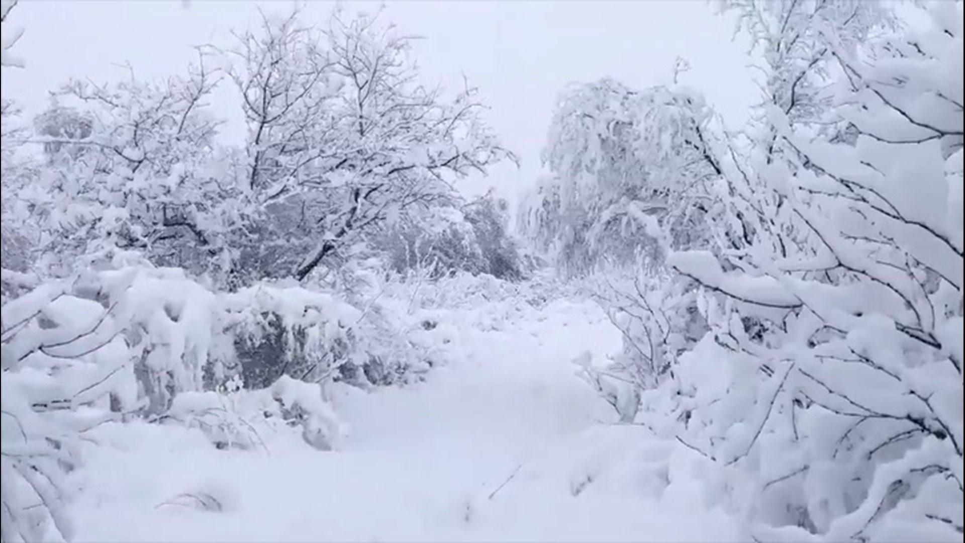 beautiful snow scenes