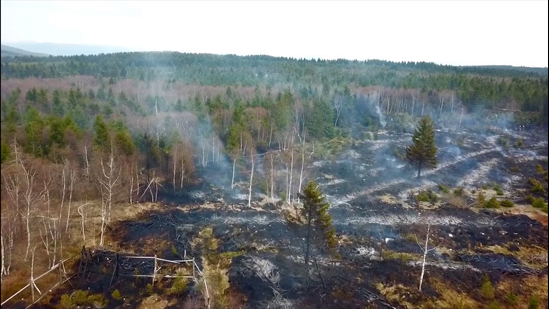 Firefighters had their hands full battling a wildfire in Cinovec, Czech Republic, on April 28. Much of the country is in a drought, which is described as the worst in '500 years.'