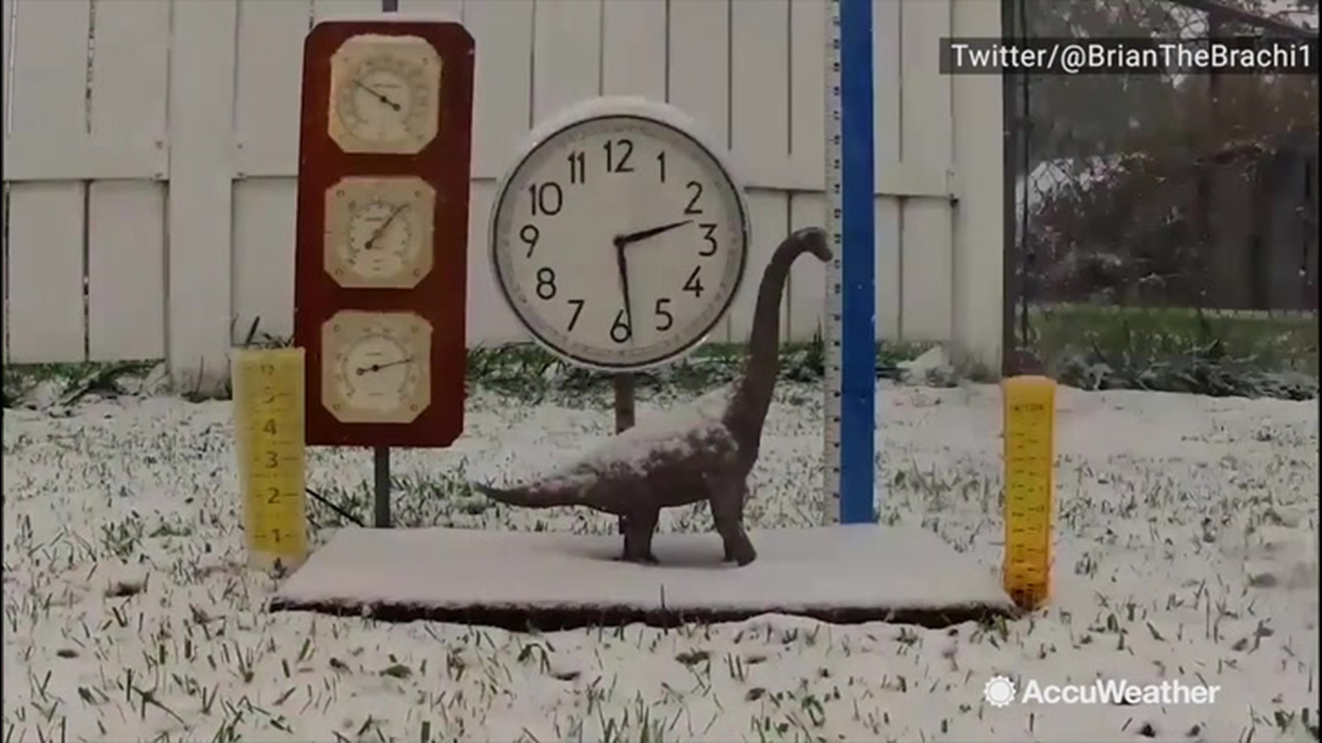 Twitter user Brian the Brachiosaurus created a lovely video showing the progression of the snow in Point Place, Ohio, on Nov. 12, even though their clock literally froze from freezing rain at 3:44 p.m.