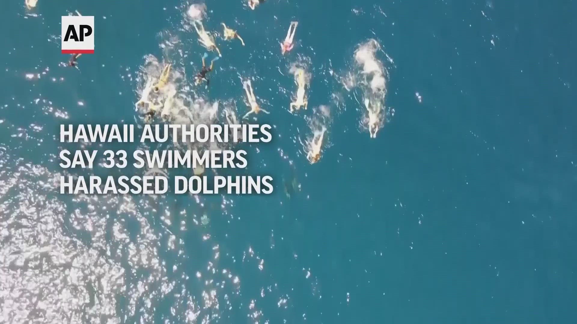 Officials said drone video showed swimmers "who appear to be aggressively pursuing, corralling and harassing the pod."
