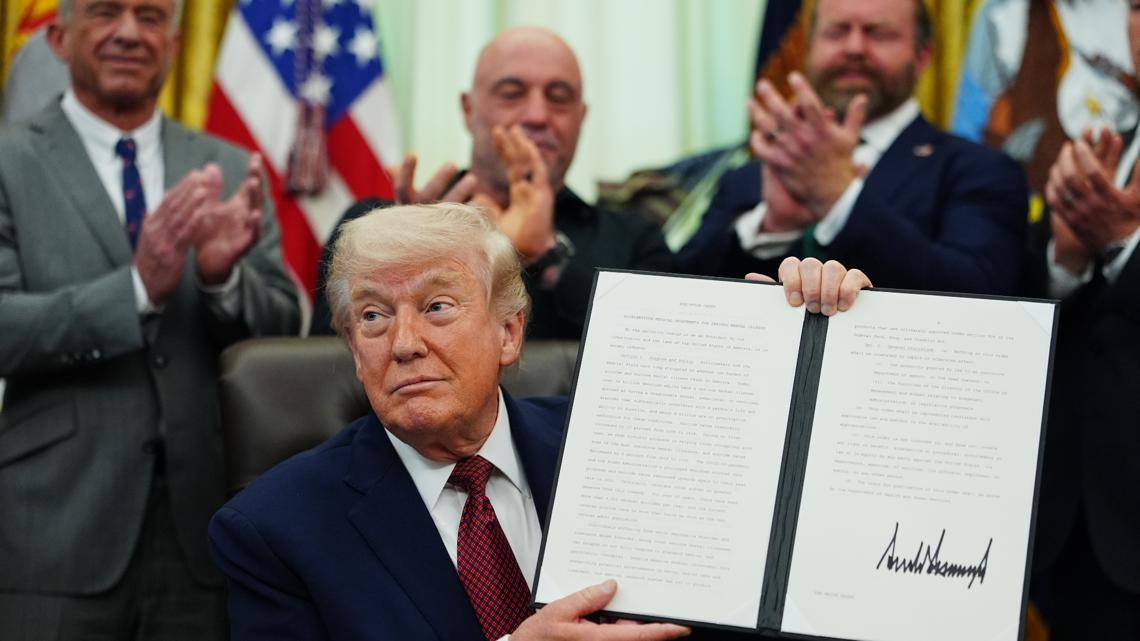 President Trump orders faster review of psychedelic drugs for mental health treatment