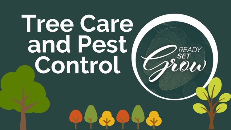 Ready, Set, Grow | Tree care and pest control