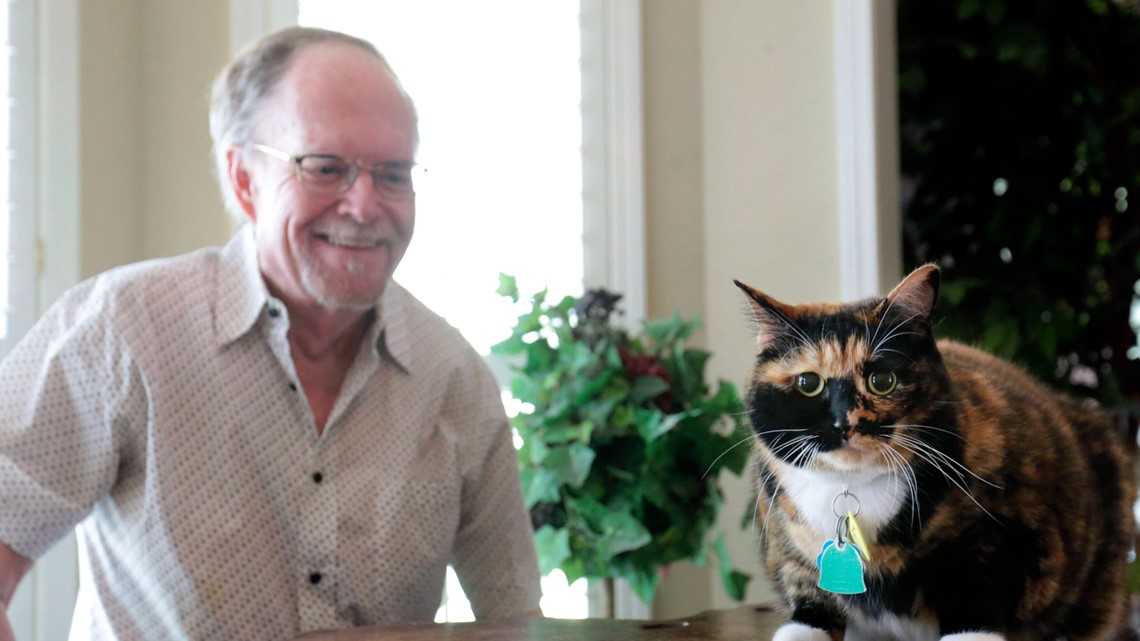Mississippi man credits his pet cat for preventing robbery - Vimarsana News