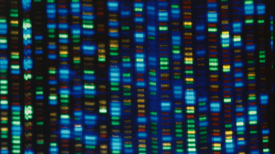 Human genome decoded fully | newswest9.com - Vimarsana News