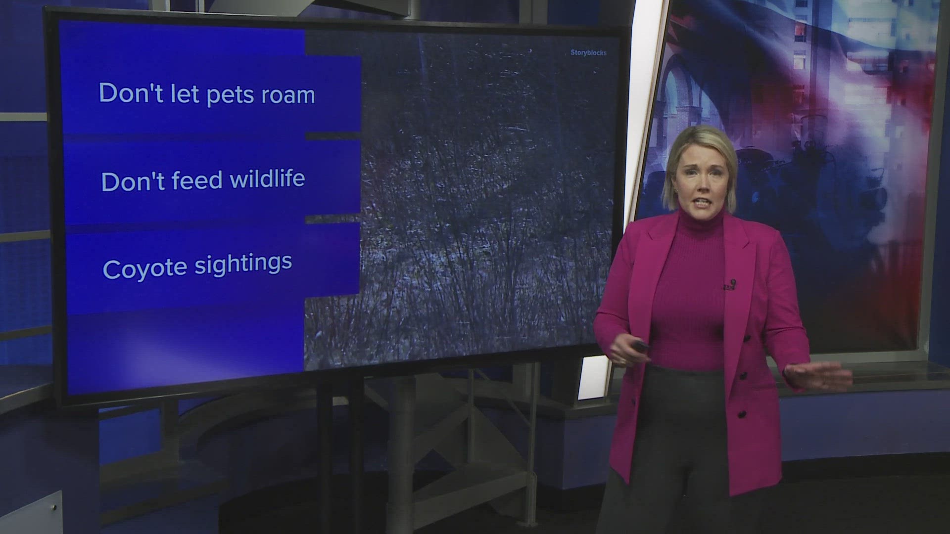 As coyote mating season begins in Texas, Texas Parks and Wildlife has a few tips on how to keep your furry friends safe.