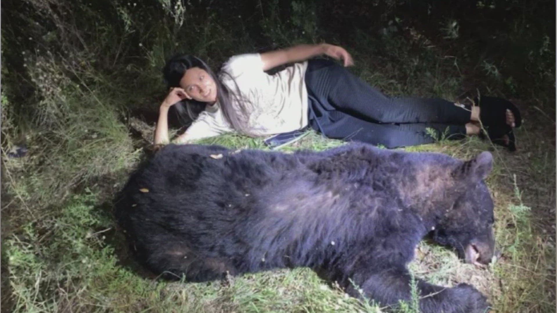 Bears in Texas Hill Country woman hits black bear while driving down highway in Real County