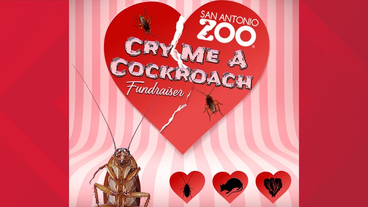 Need a Valentine's gift for your ex? 'Cry Me a Cockroach' is back