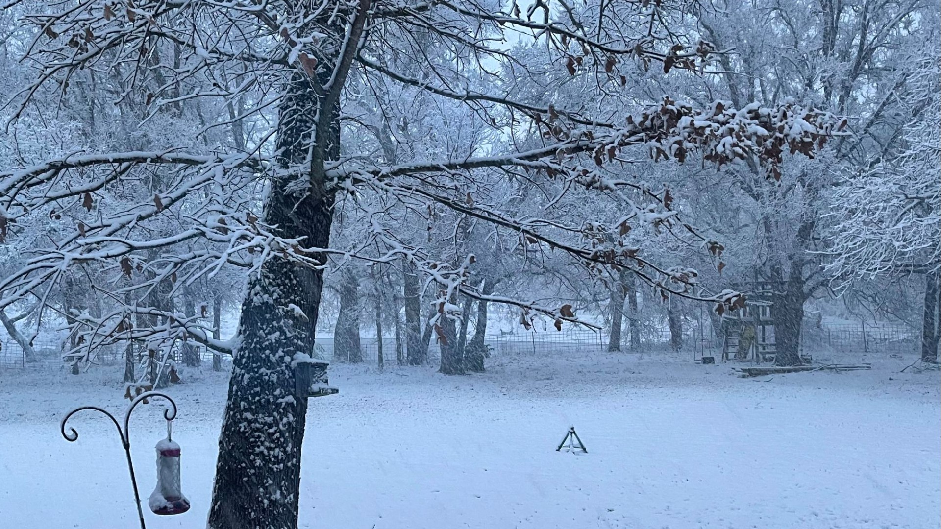 Texas snow photos and video Scenes from winter weather