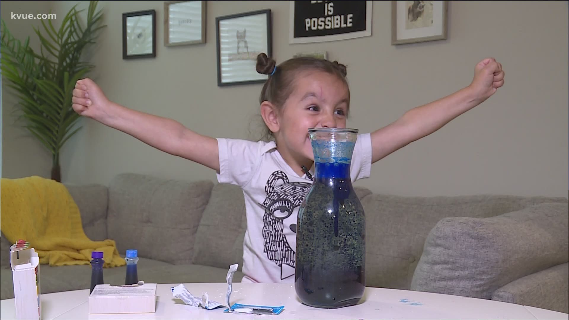 Cultural Reporter Brittany Flowers and her trusty sidekick, Sawyer, made homemade lava lamps using just four household ingredients.