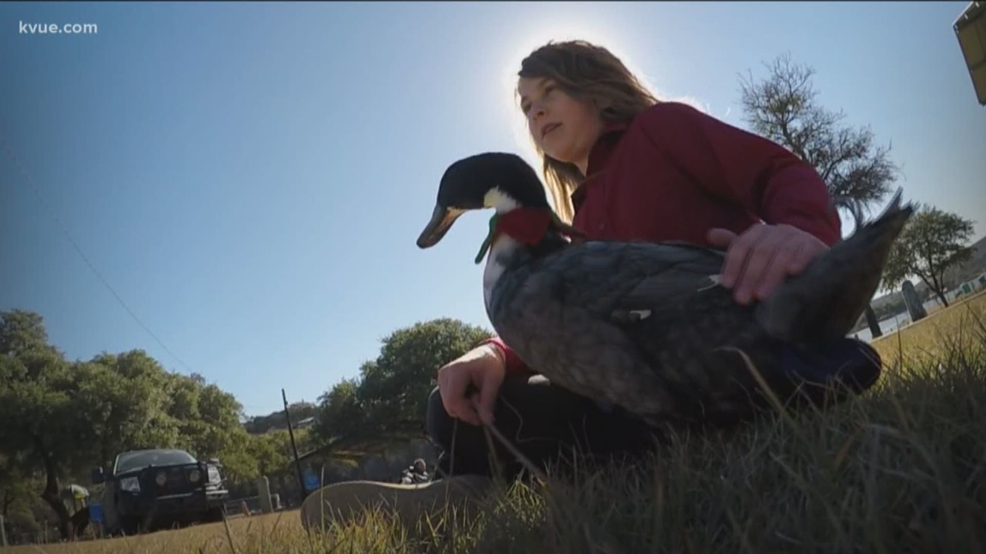 For one Austin girl, her emotional support duck helps her cope with a daily emotional struggle.