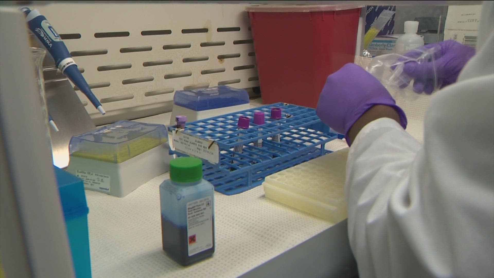 Texas researchers developing possible bird flu vaccine