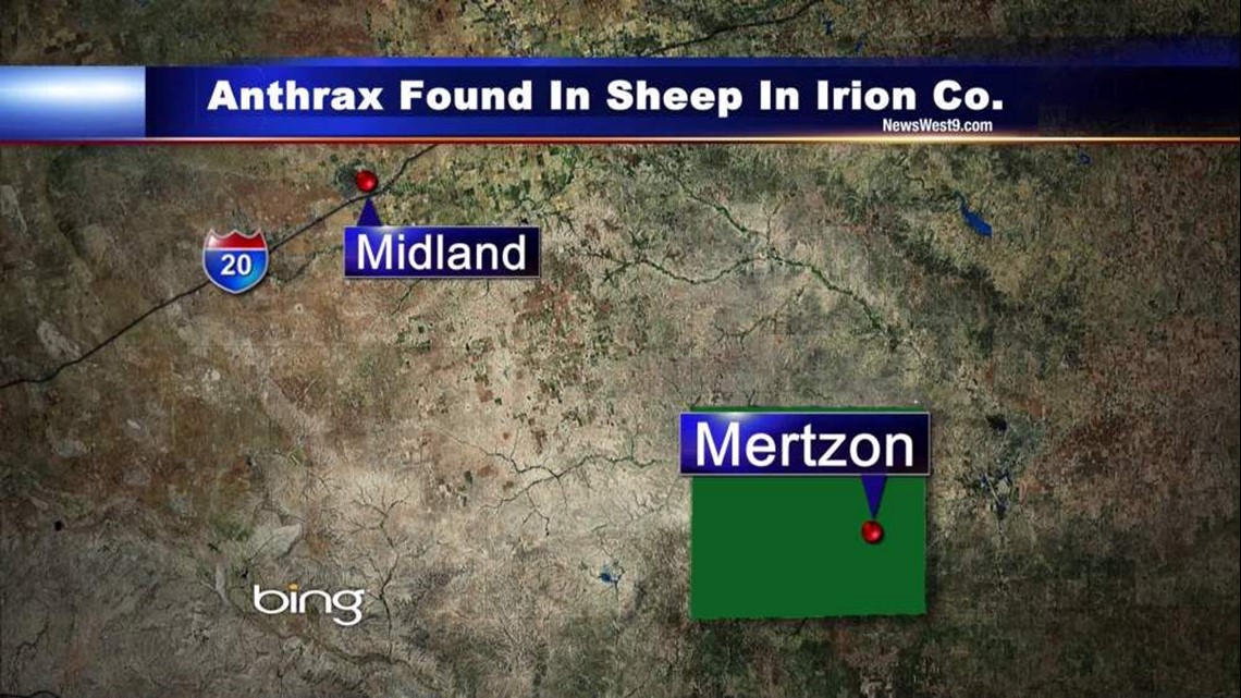 Anthrax Found In West Texas Livestock 9133