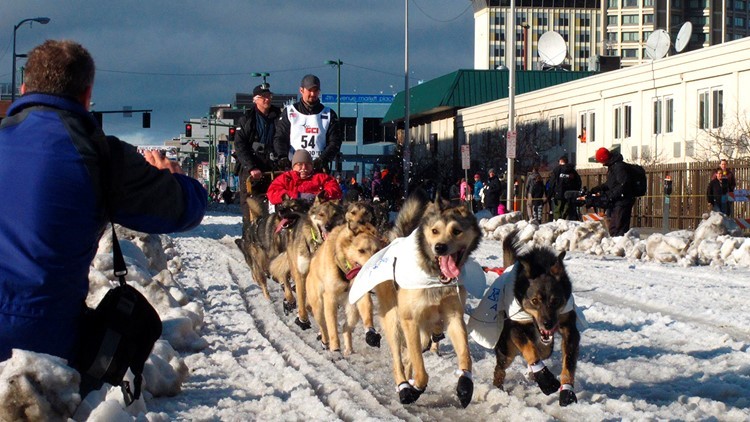 Ohio musher rescued from Iditarod during final stage