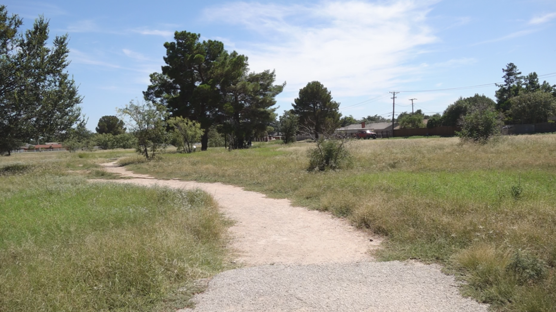 According to the regional chapter for Texas Master Naturalists, the purpose is to advocate for prairie preservation by limiting mowing.