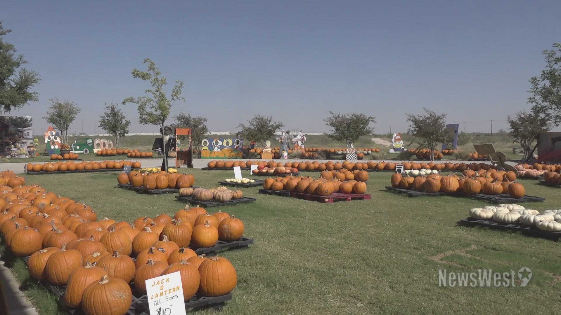 On Saturday, Oct. 19, The Bridge in Odessa is holding their annual car show, a vendor market and a pumpkin patch.