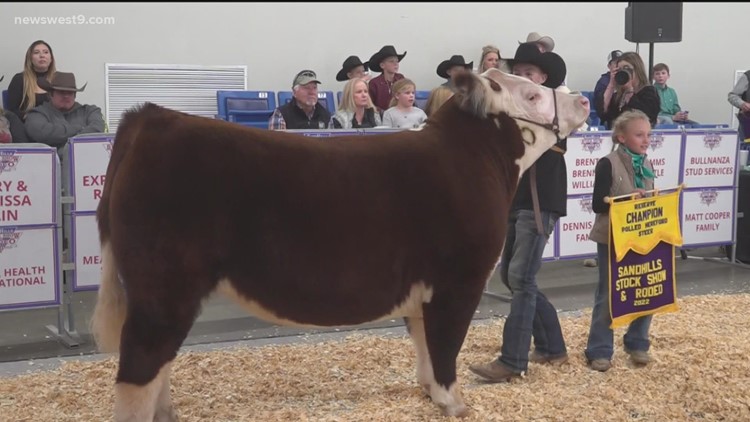 Local youth show livestock at Sandhills Stock Show and Rodeo