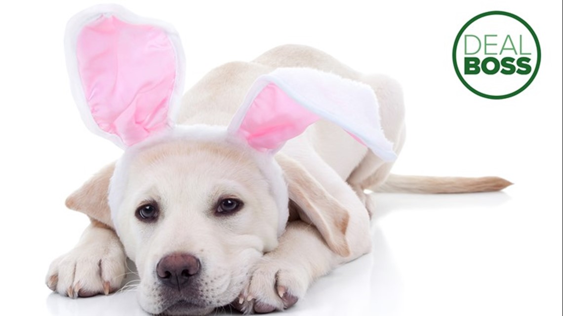 PetSmart is offering free Easter bunny photos this weekend, and these