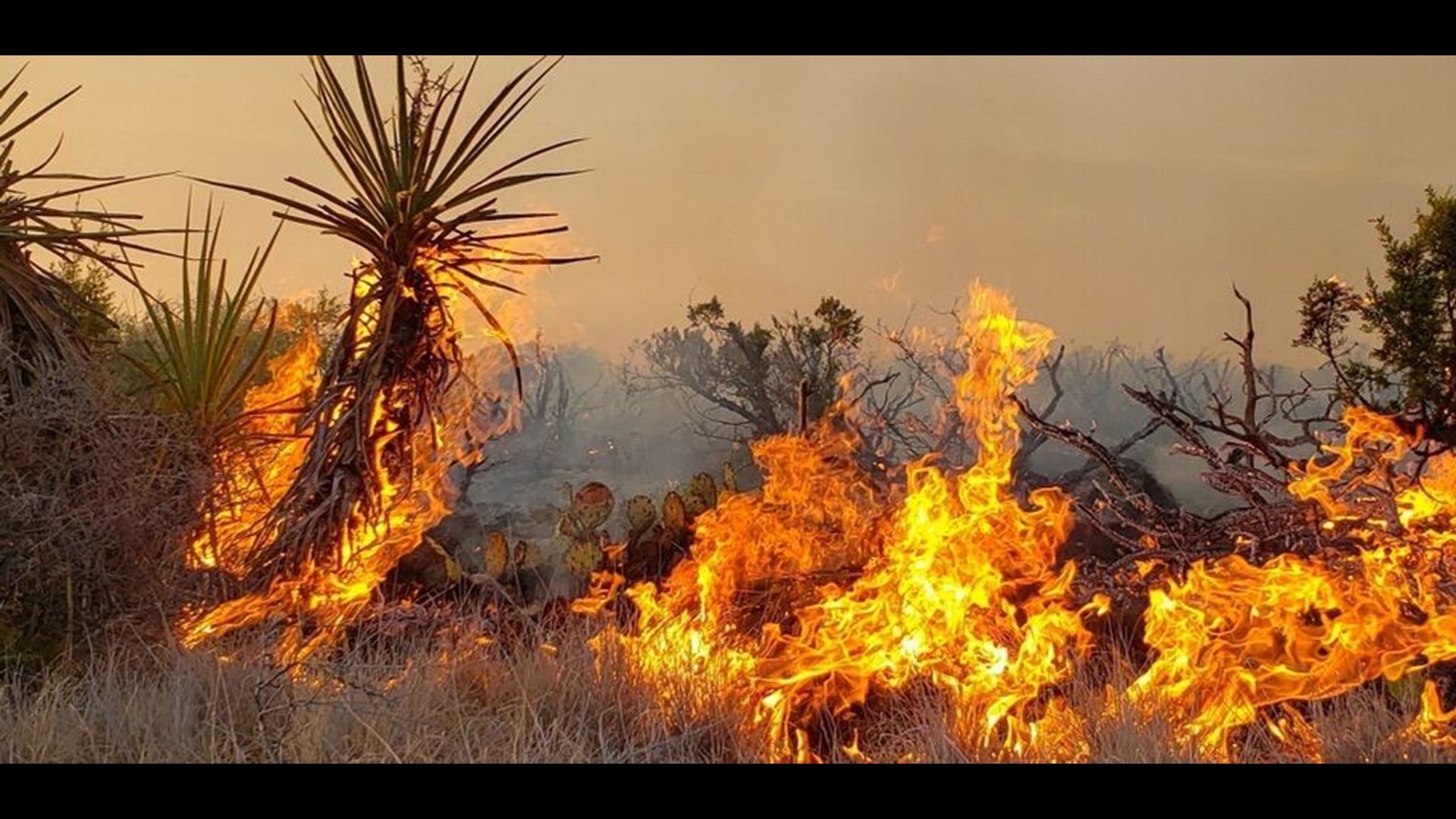 Crews battling Smith Canyon fire in Pecos Co. | newswest9.com