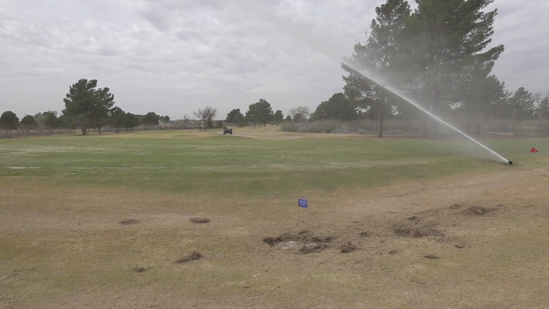 Hogan Park Golf Course has plenty of water from its five wells, but very salty water makes course quality difficult. Efforts are constant as golf continues to grow.