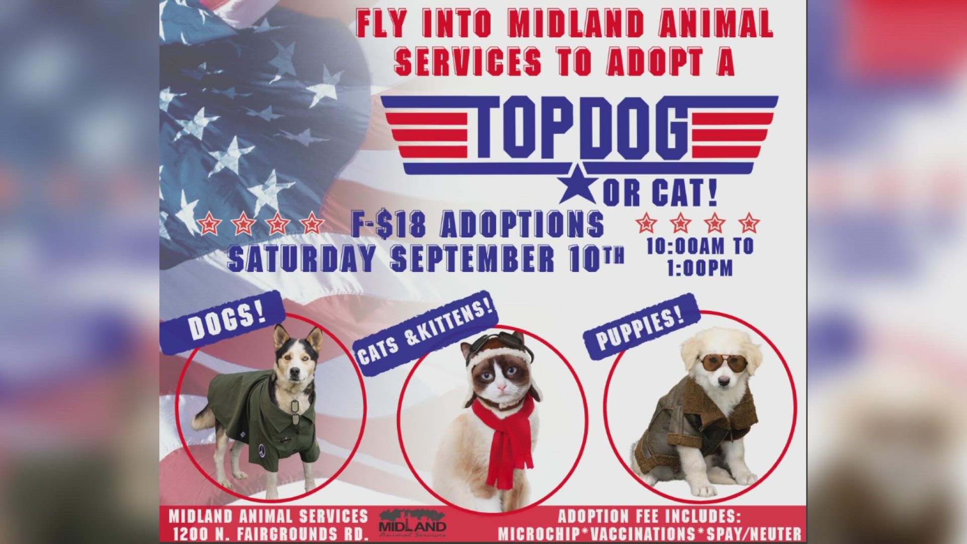 Midland Animal Services will host the adoption event, Top Dog and Cat.