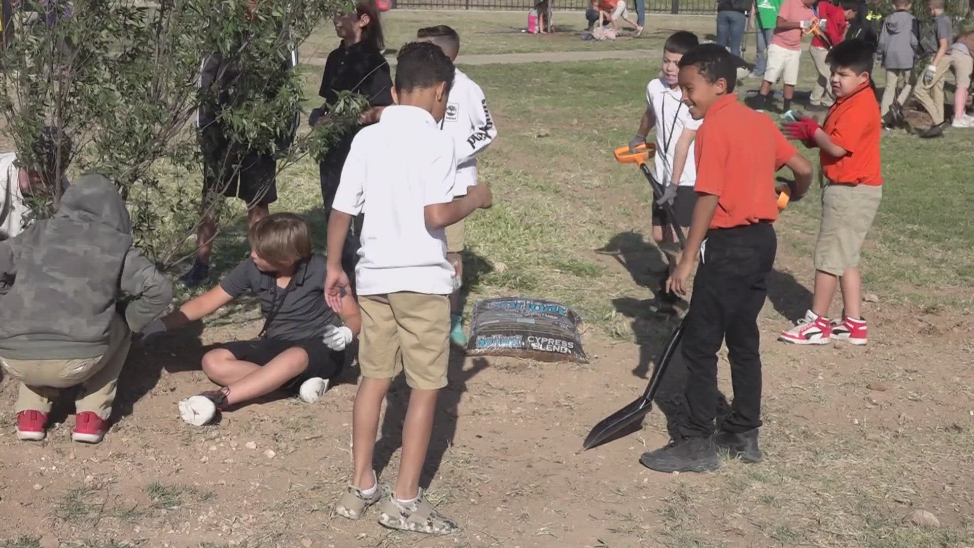 Volunteers planted 50 trees at Martin Luther King Jr. Park.