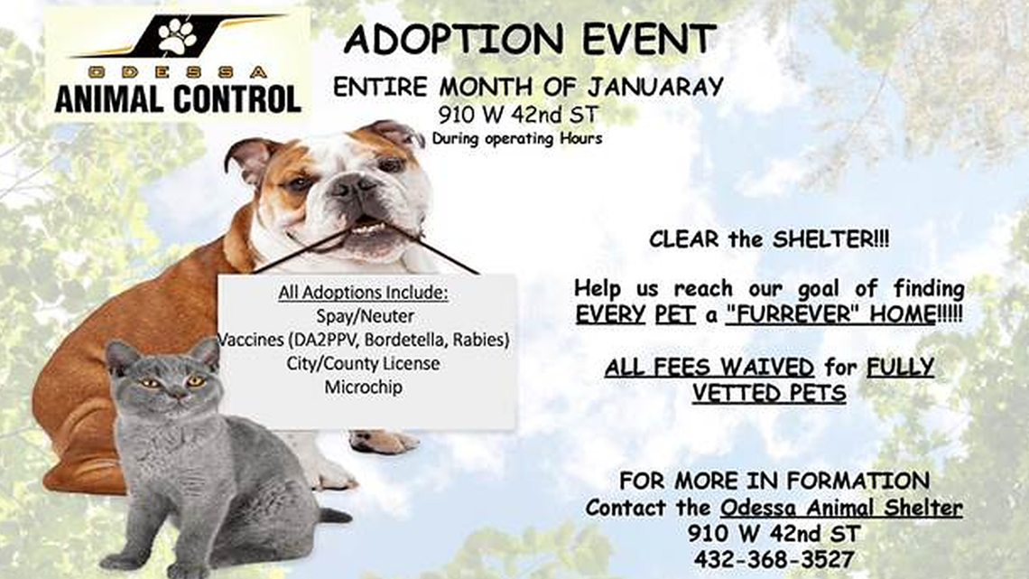 Odessa Animal Shelter to hold adoption event 