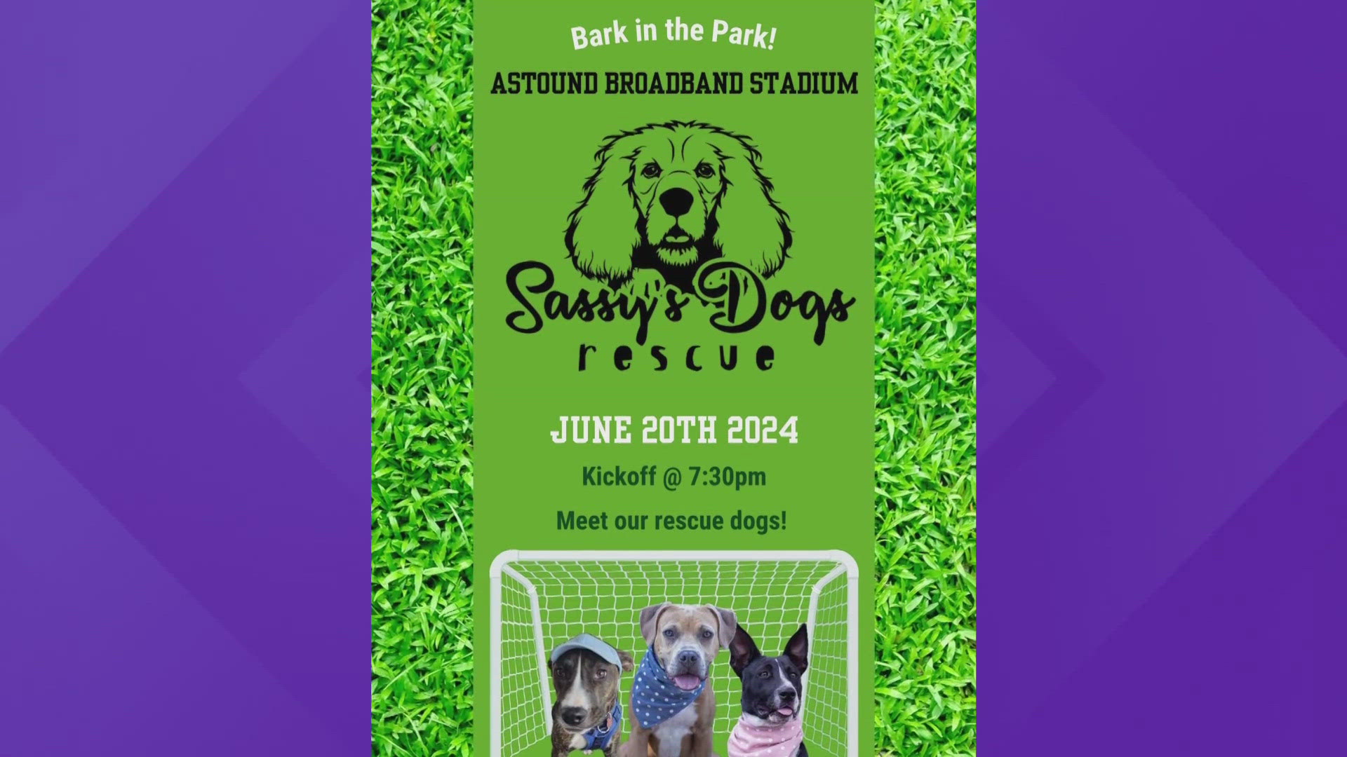 There will be Sassy's Dog Rescue merchandise for purchase and a chance to meet some of the rescue dogs.