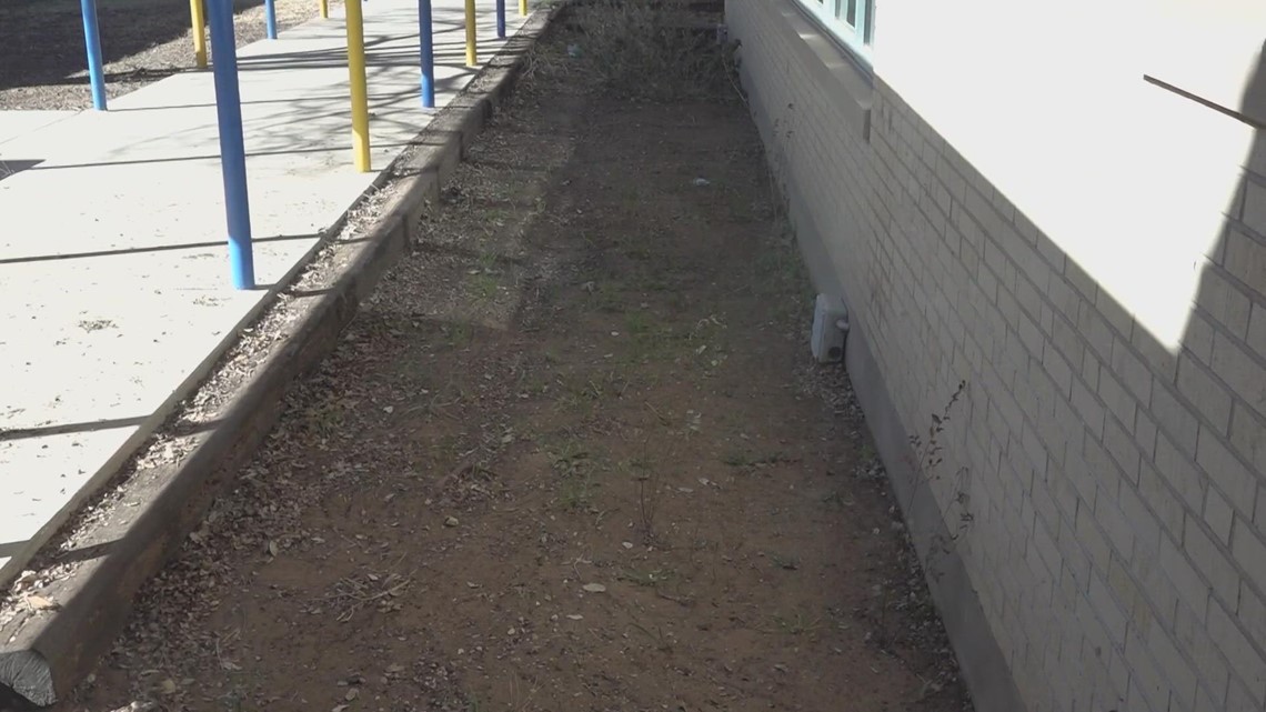 Zavala Elementary, Keep Odessa Beautiful partner for new school garden - Vimarsana News
