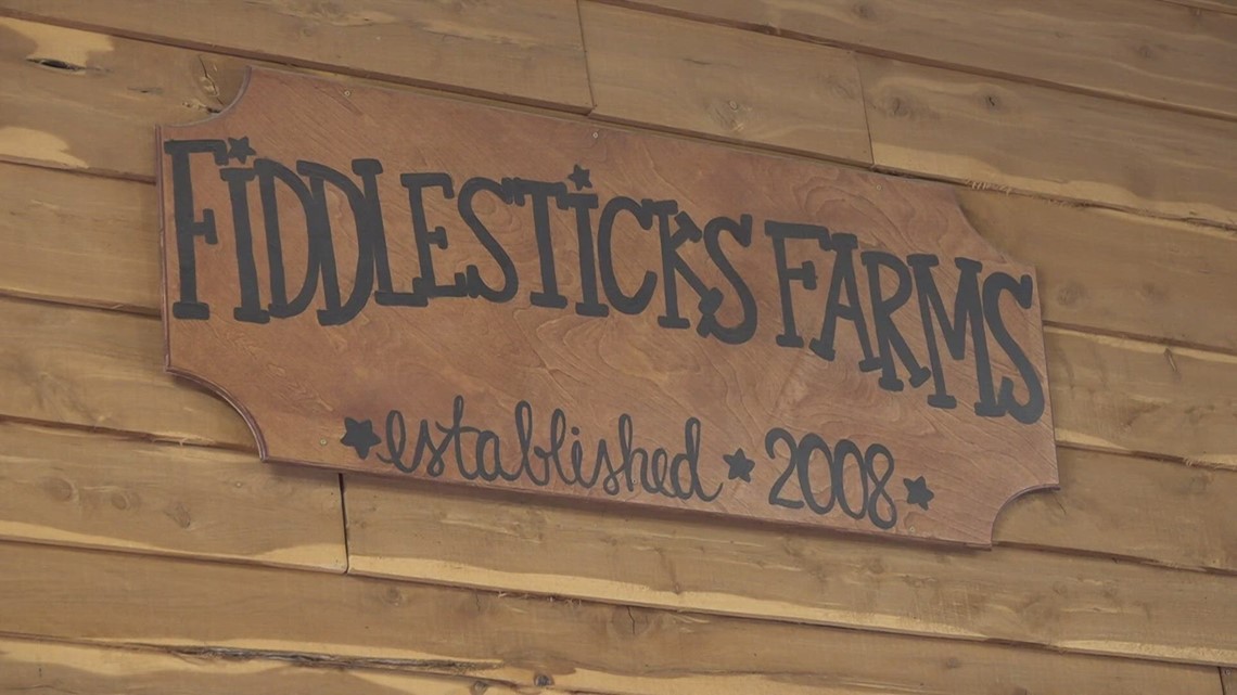 Fiddlesticks Farms in Midland holds opening weekend | newswest9.com