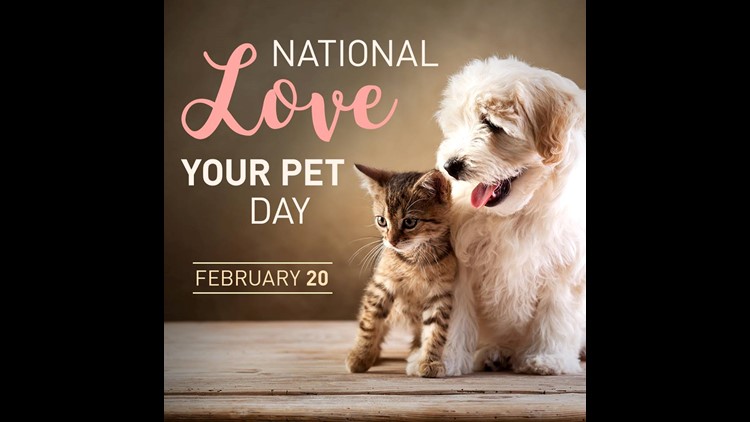 National Love Your Pet Day Newswest9 Com   5a92da6c 0f33 412c A790 70f4fe95fa84 750x422 