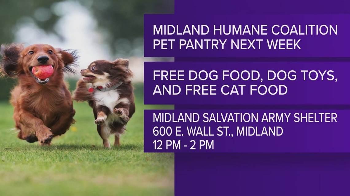 Midland Humane Society hosting pet pantry on Valentine s Day