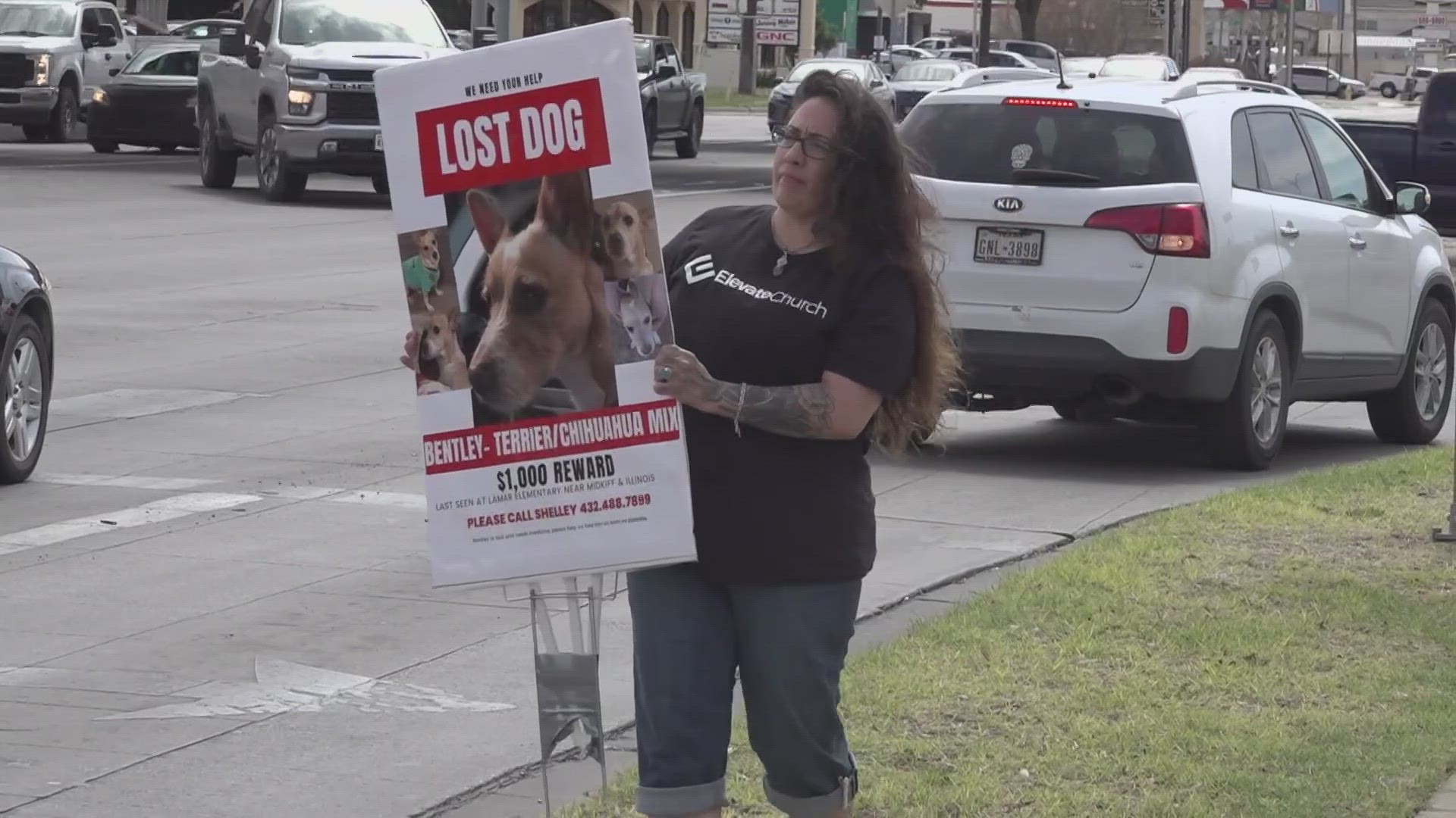 Sandra Ramos has been standing at intersections holding a lost dog sign looking for a dog that's not hers and that she doesn't even know.