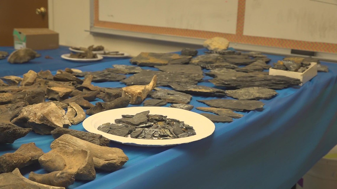 Impressive fossil collection donated to ECISD by one individual - Vimarsana News