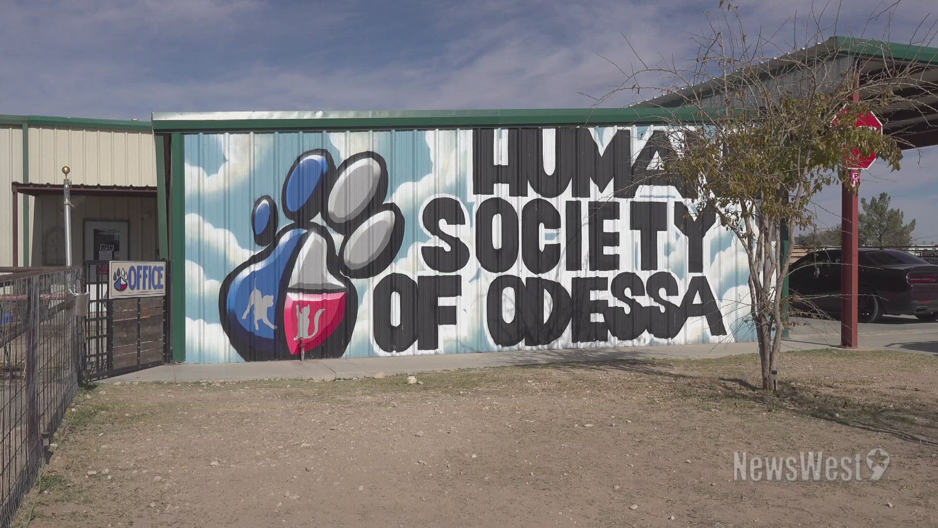 Overpopulation stemming from animal dumping is putting a strain on the Humane Society of Odessa.