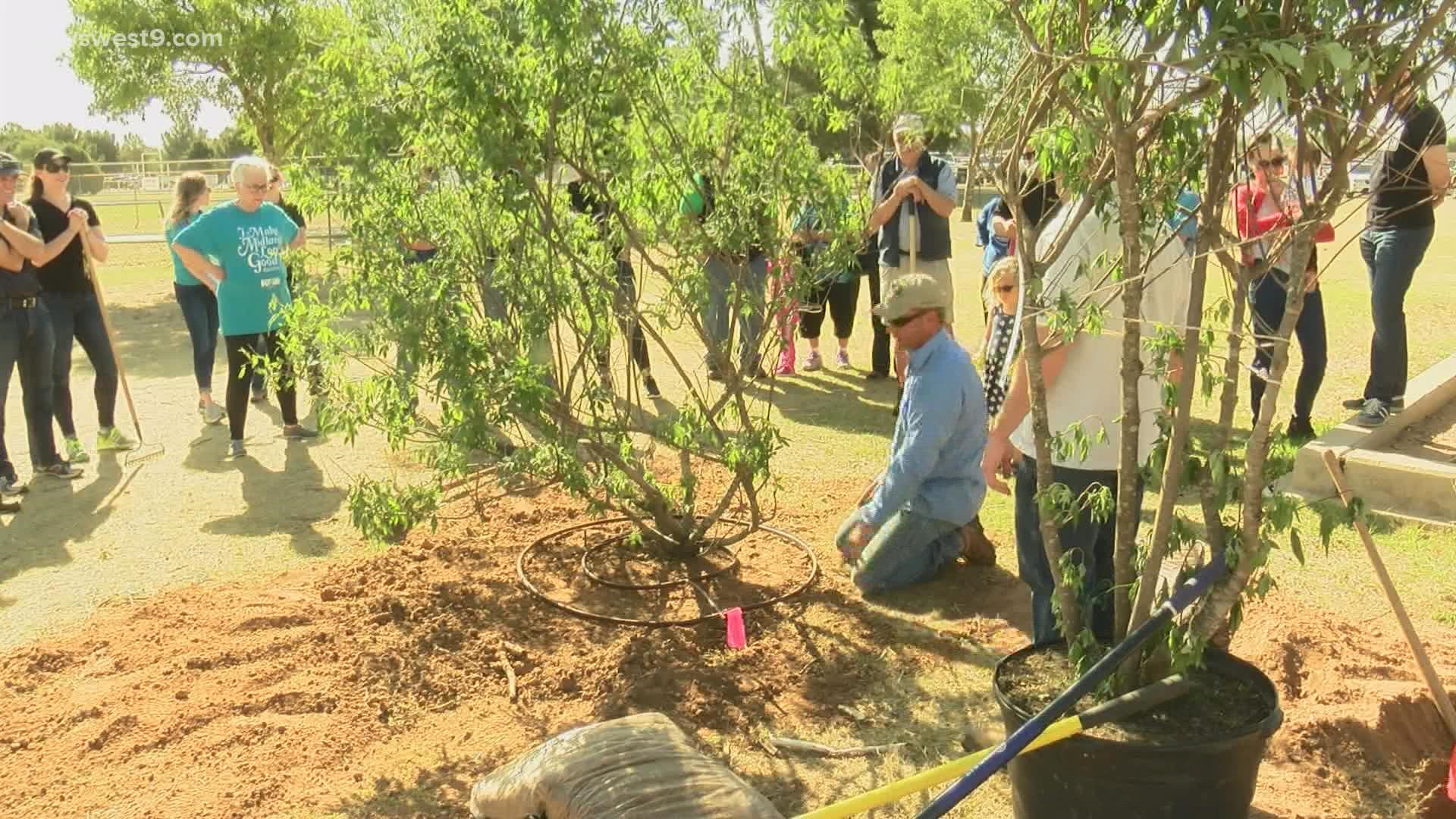 Every year the company donates thousands of trees to nonprofits in areas of West Texas that have very little tree coverage.