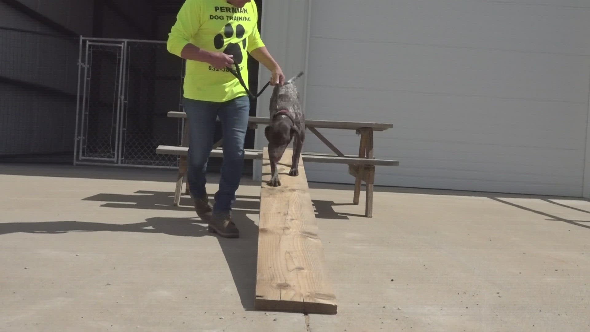 After a family dog attacked a 3-year-old boy, Permian Dog Training Owner Keith Jankowski shares ways you can prevent accidents like this from happening in your home.