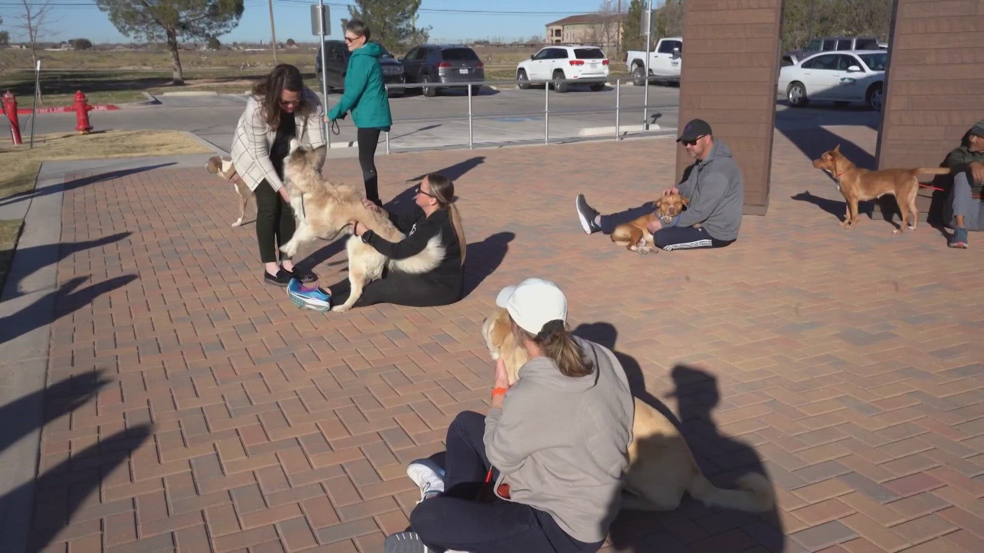 Rescue Runners is designed to recruit people to help walk or run shelter dogs.