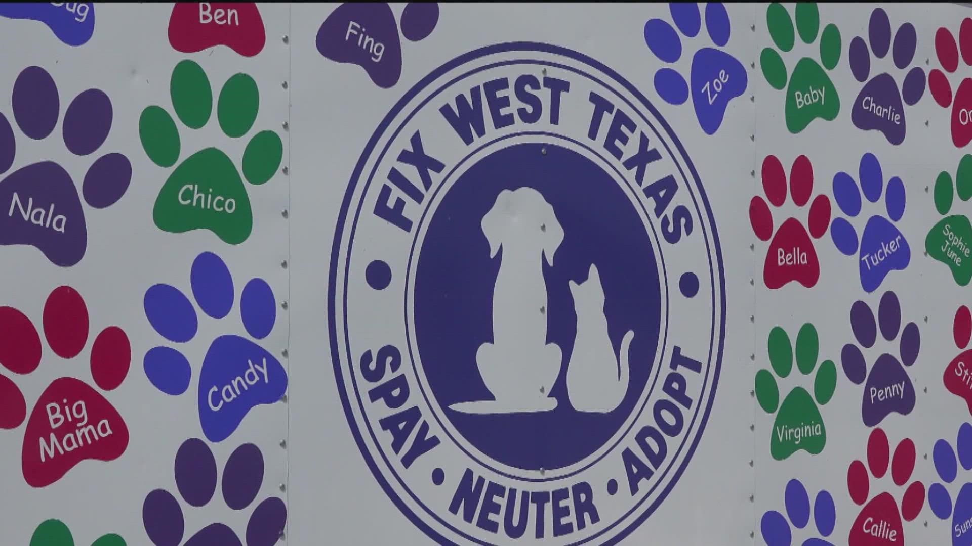 If you need to spay or neuter your cat, the nonprofit is offering a special weekend for low-cost appointments.