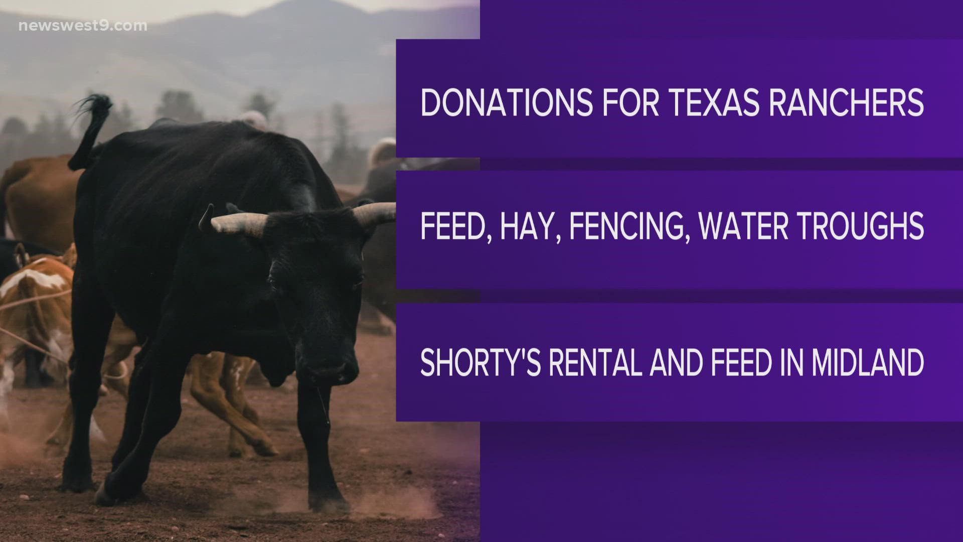 They're seeking donations for things like hay, feed and water troughs, as well as protein tubs and fencing materials.