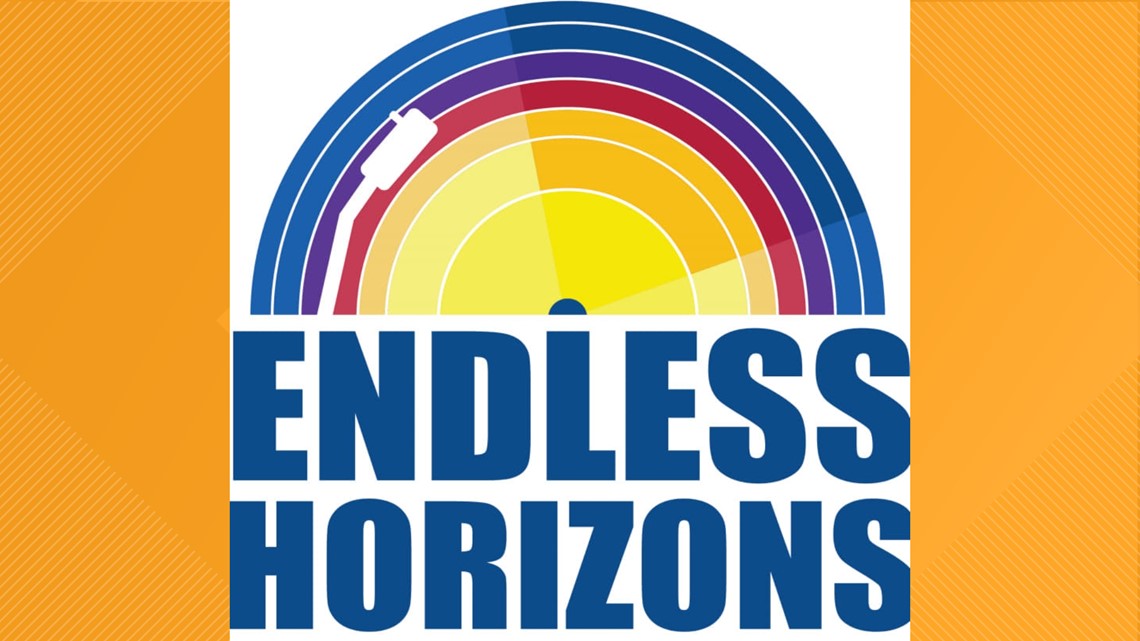 Endless Horizons, a well-liked Odessa record store, is at risk of closure - Vimarsana News