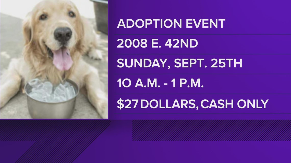 Animal adoption and vaccination events in Odessa this weekend