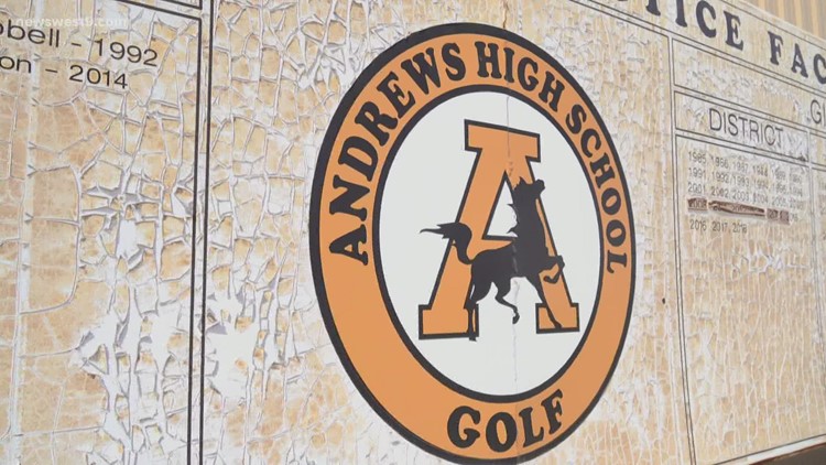 Andrews High golf teams headed back to state tournament