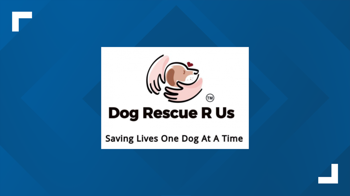 Dog Rescue R Us breaks ground on new shelter