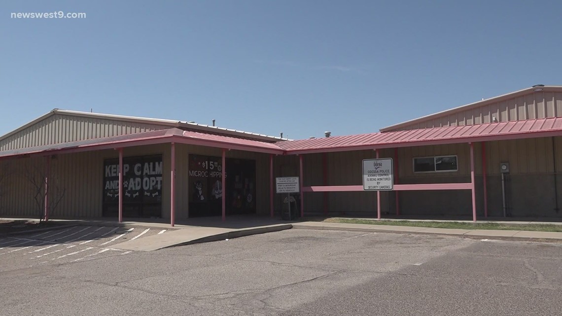 Odessa Animal Shelter to hold adoption special throughout the month of