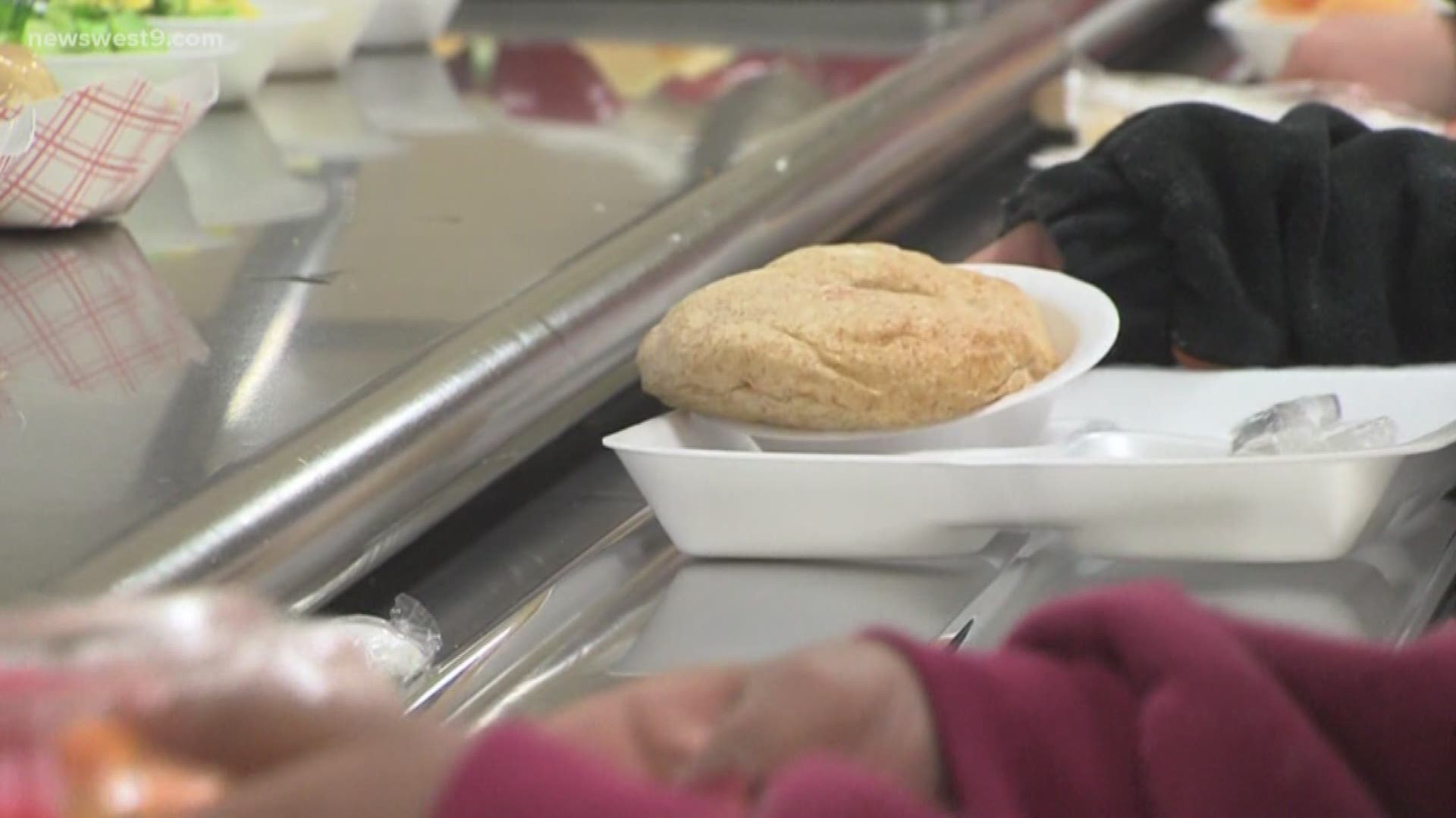 Funding for the all breakfast and lunch meals served at ECISD schools will come from two USDA programs.