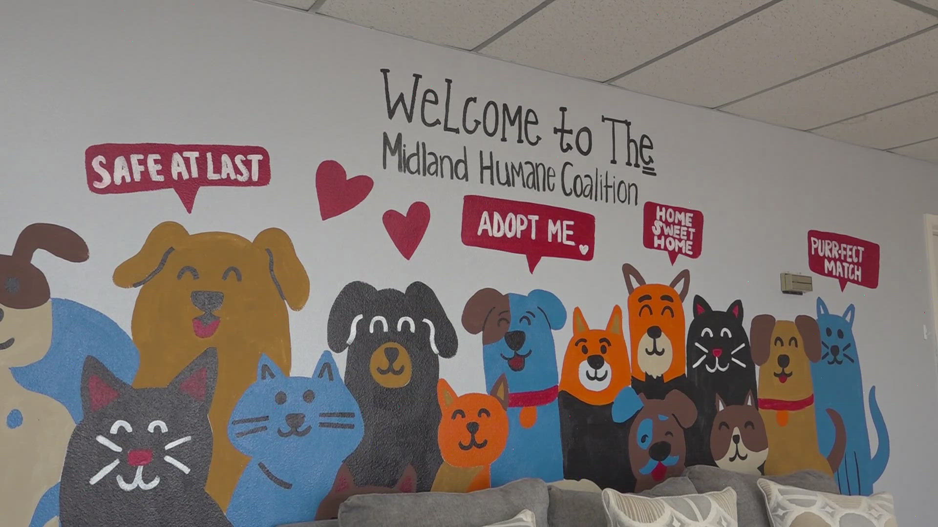 Recent reports of abandoned pets prompt Midland rescues to urge alternatives