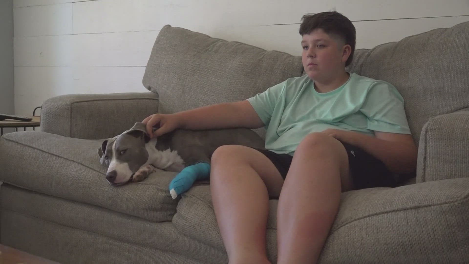 Logan Galindo has a special bond with his furry friend that includes their pasts, caring for Fifi while she recovers from surgery and lessons from community support.