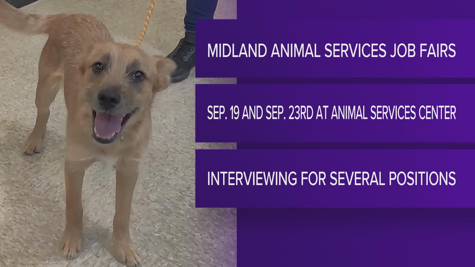 City of Midland Animal Services to host two job fairs in September |  