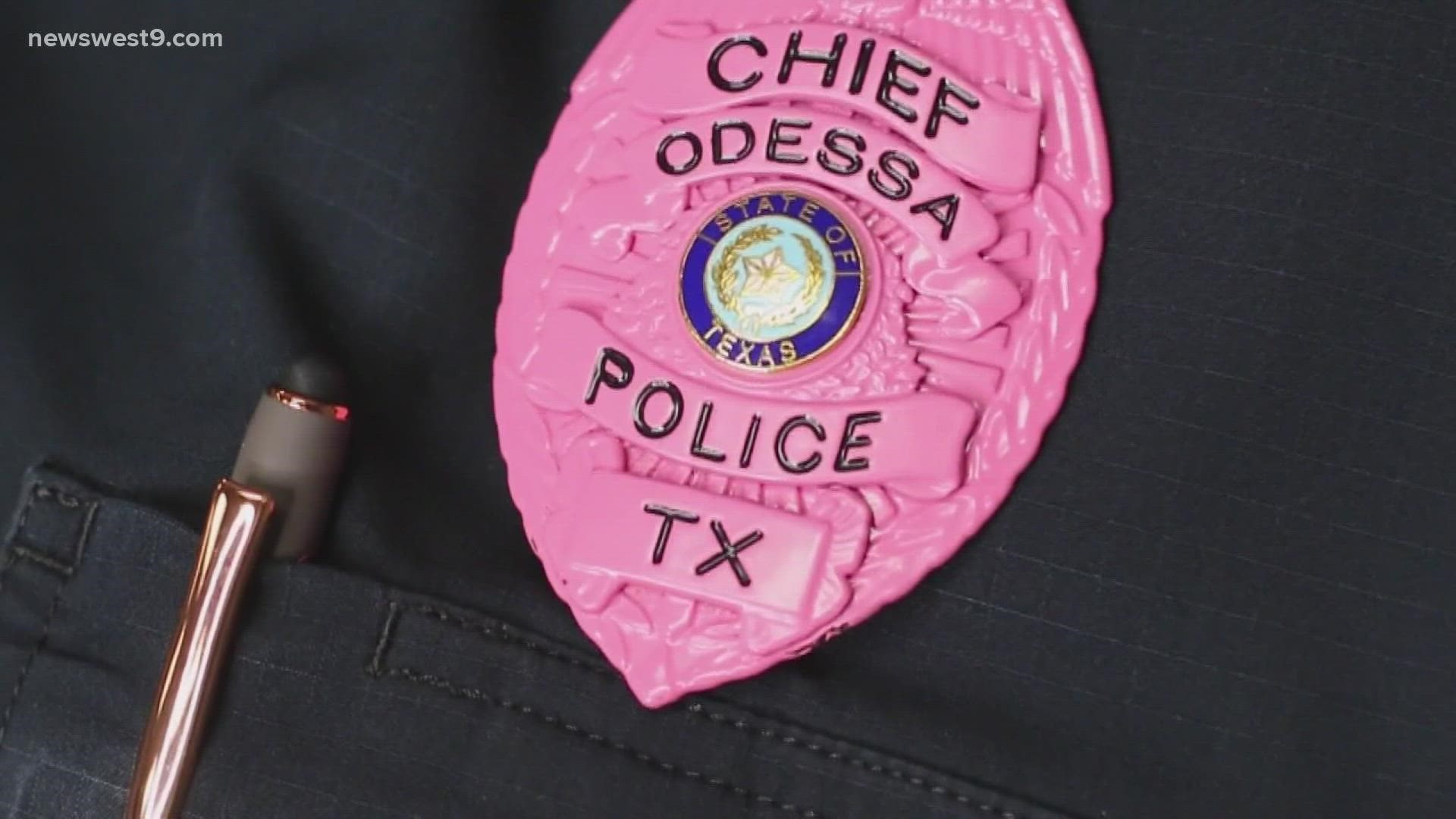 Money raised from the badges goes toward Pink the Basin.